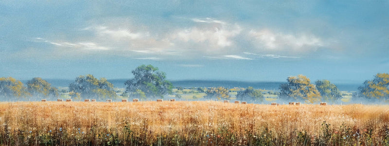 Cornfield in Summer