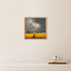 Golden Meadow