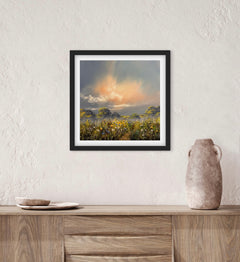 Wild Meadow