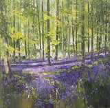 Purple Bluebells