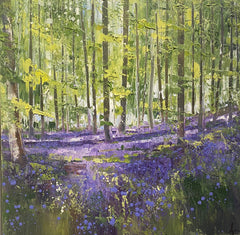 Purple Bluebells