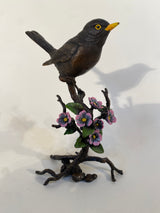 Bronze BlackBird