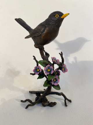 Bronze BlackBird