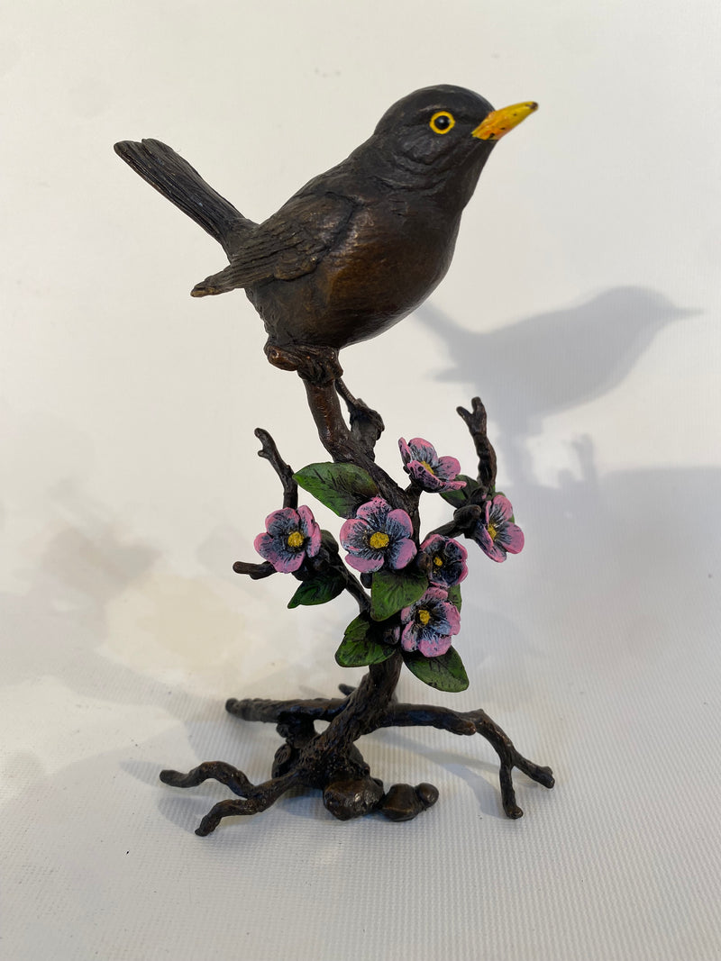 Bronze BlackBird