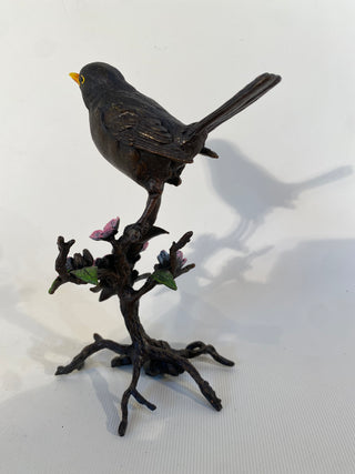 Bronze BlackBird