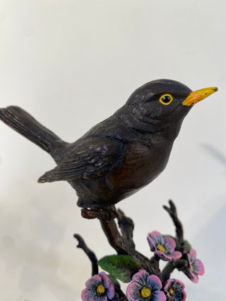 Bronze BlackBird