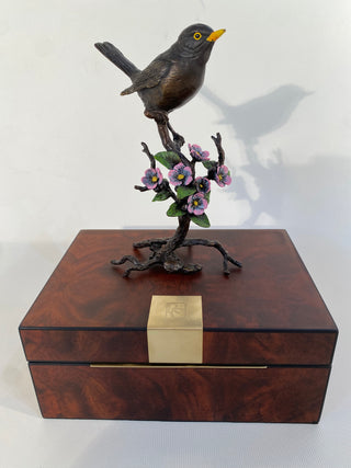 Bronze BlackBird