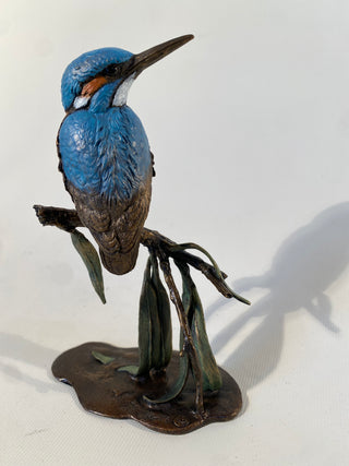Bronze Kingfisher