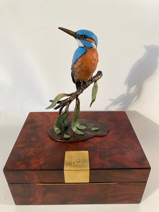 Bronze Kingfisher