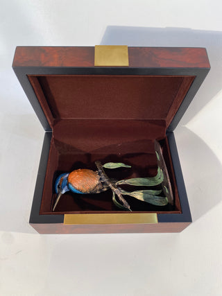 Bronze Kingfisher