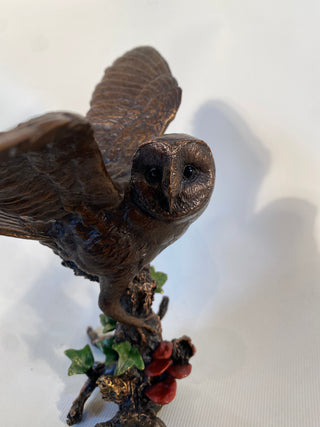Bronze Barn Owl