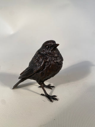 Bronze Robin