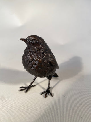 Bronze Robin