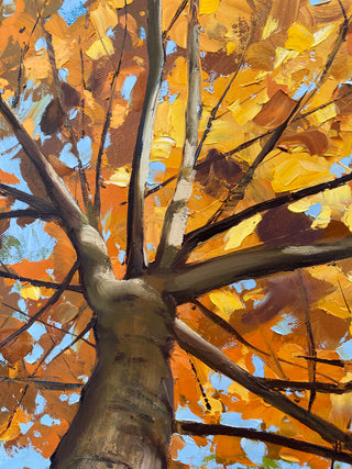 Autumn Embers