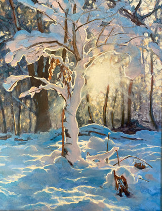 Winters Frozen Spell