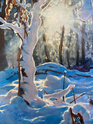 Winters Frozen Spell