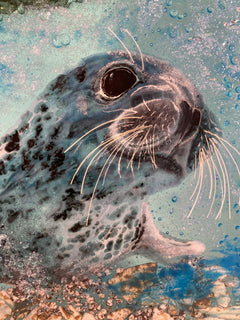 "The Searching Seal" Fused Glass Panel