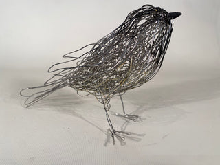 Coal Tit