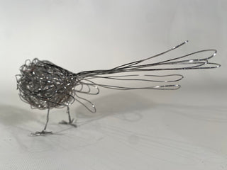 Long Tailed Tit