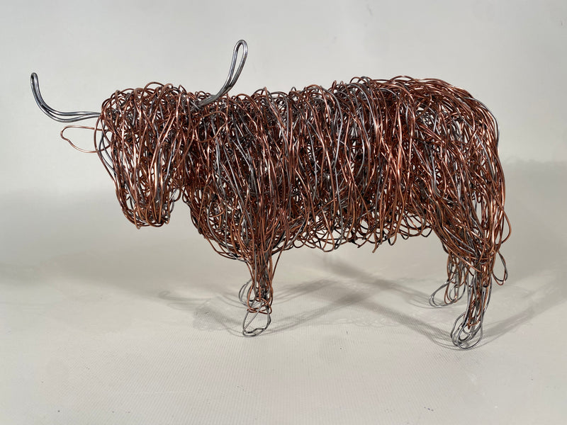 Highland Cow