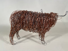 Highland Cow