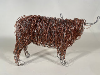 Highland Cow