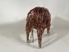 Highland Cow