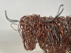 Highland Cow