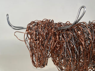 Highland Cow