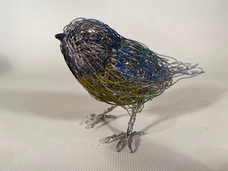 Blue Tit