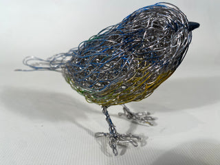 Blue Tit