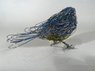 Blue Tit