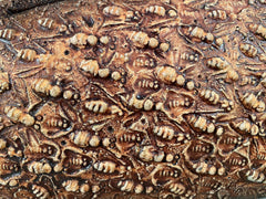Swarm