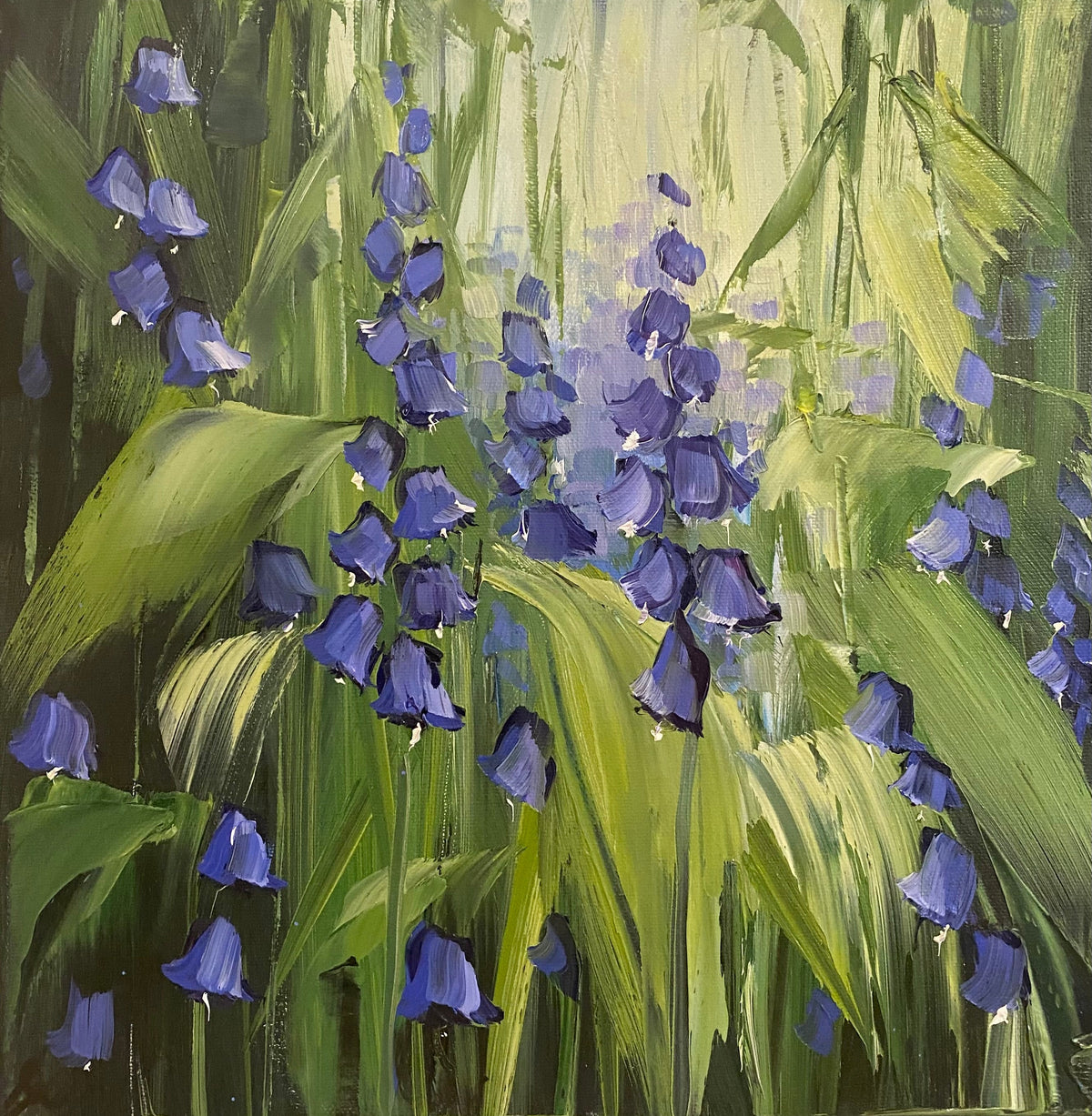 Bluebell Close Up