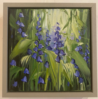 Bluebell Close Up