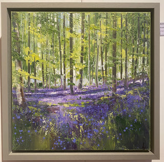 Purple Bluebells