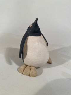 Penguin Chick
