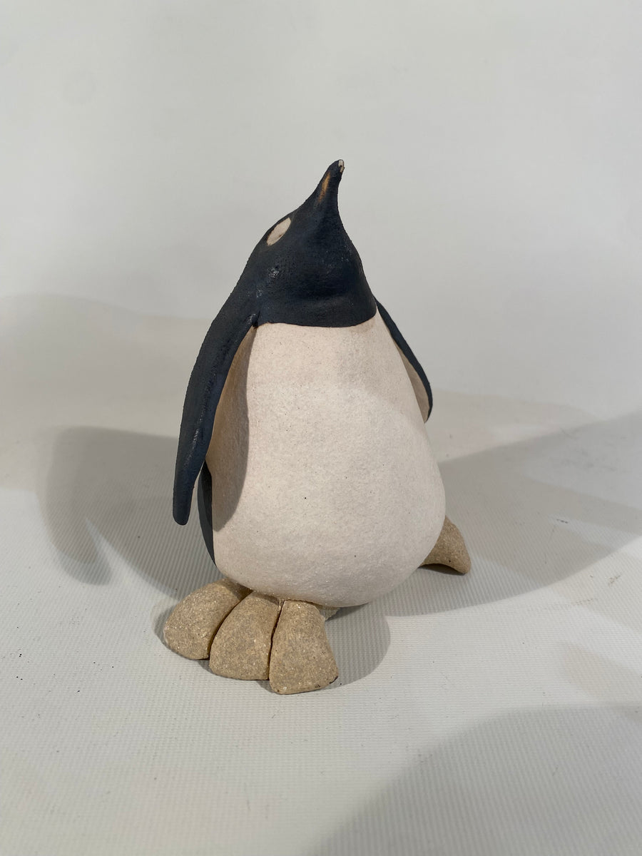 Penguin Chick