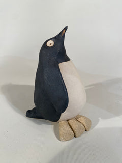 Penguin Chick