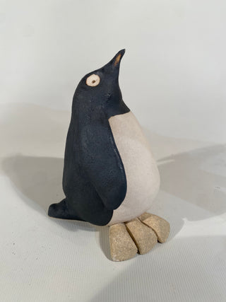Penguin Chick