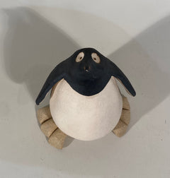Penguin Chick