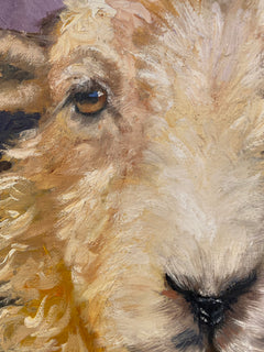 Lakelander Sheep
