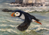 Bempton Puffin