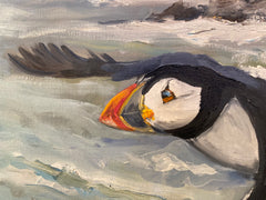 Bempton Puffin
