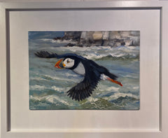 Bempton Puffin