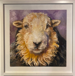 Lakelander Sheep