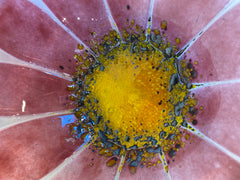 Fused Glass Flower Bowl