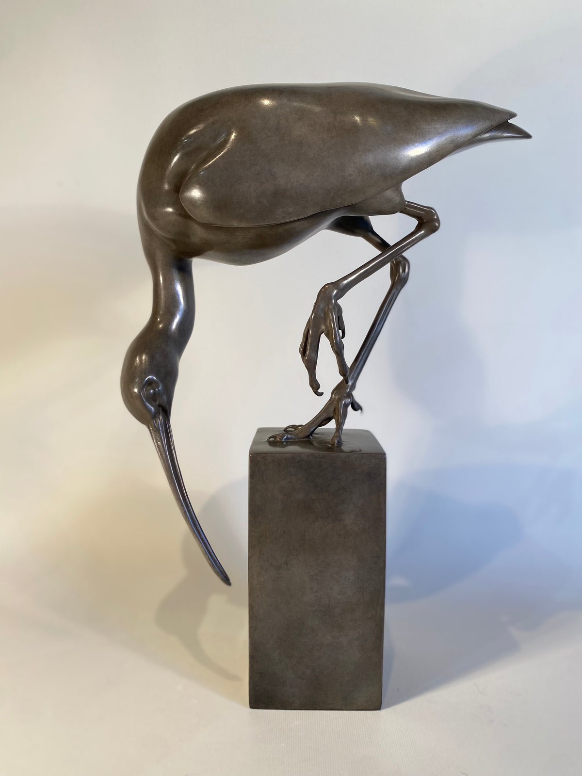 Ibis