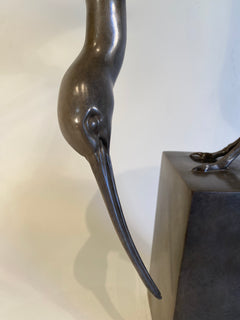 Ibis