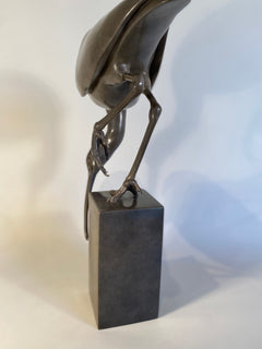 Ibis